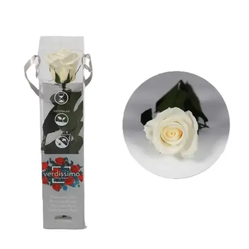 Rose White Pure