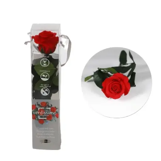 Rose Rouge