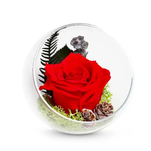 Verre de rose Rouge