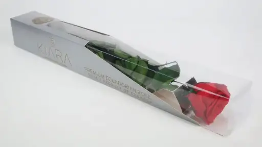 Rose Vibrant Red Luxe