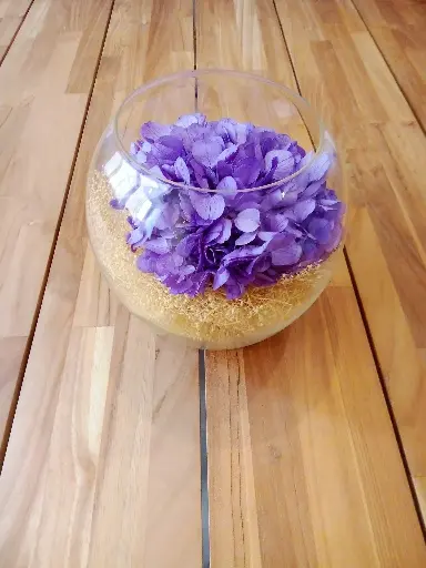 Eclat d'Hortensia Lavande Vanille