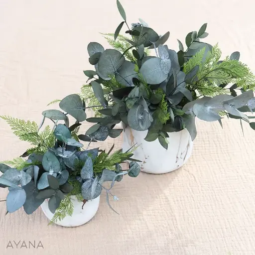 Green Addict Eucalyptus